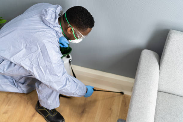 Best Pest Exclusion Services  in Diamond Springs, CA